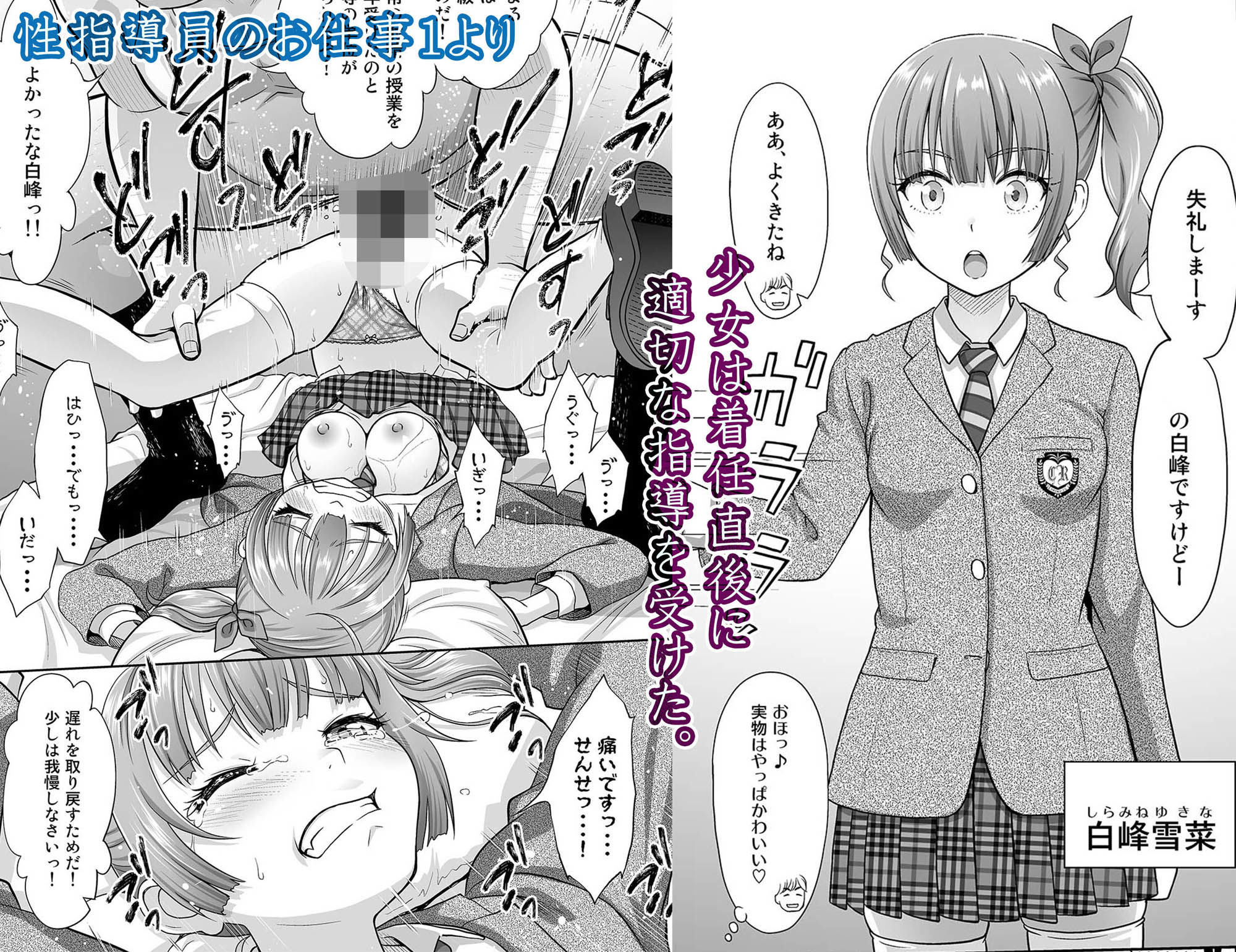 性指導員のお仕事 総集編1 サンプル画像3