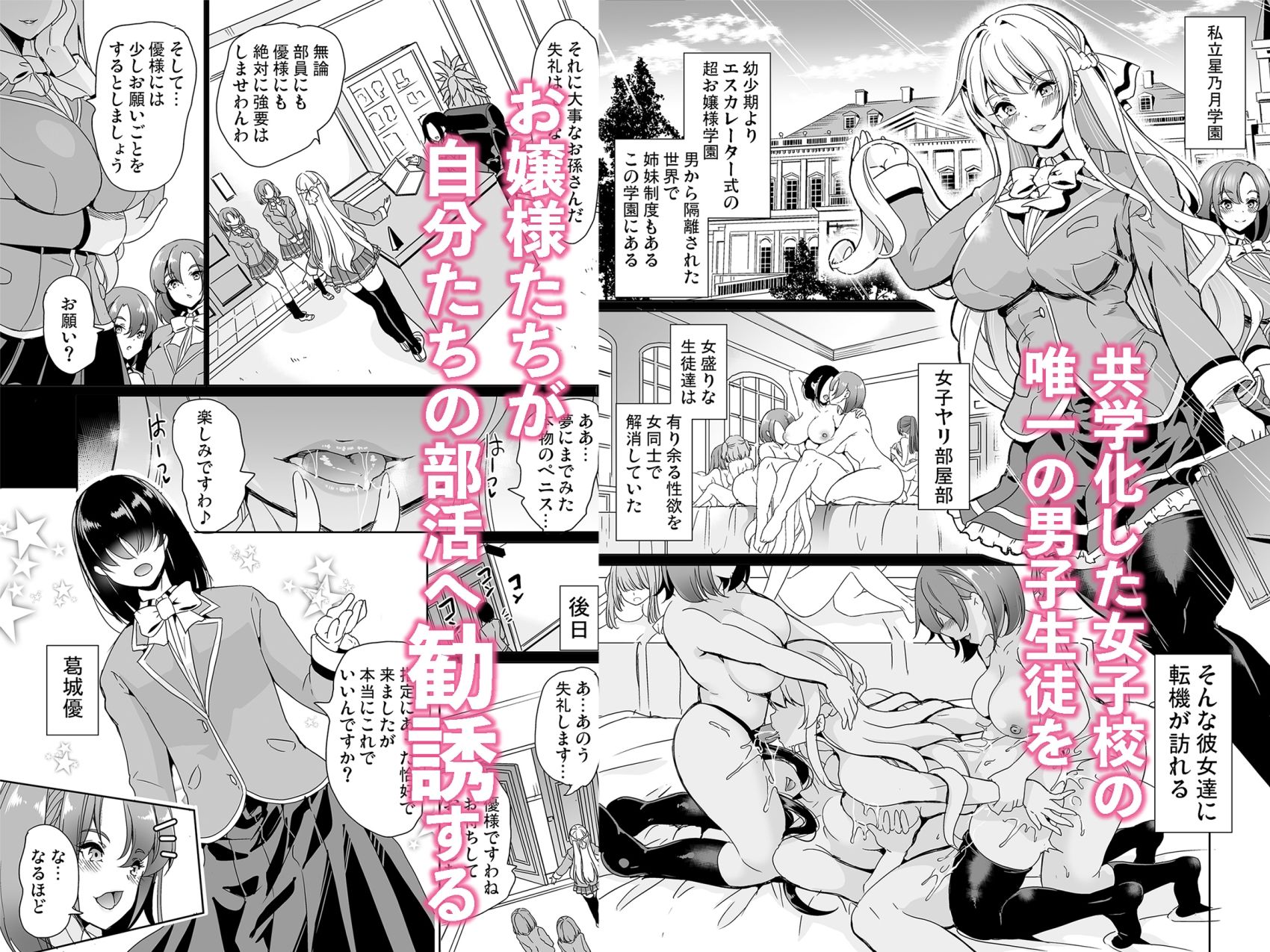 女子ヤリ部屋部の男根    〜痴女ハーレム〜  総集編 サンプル画像1