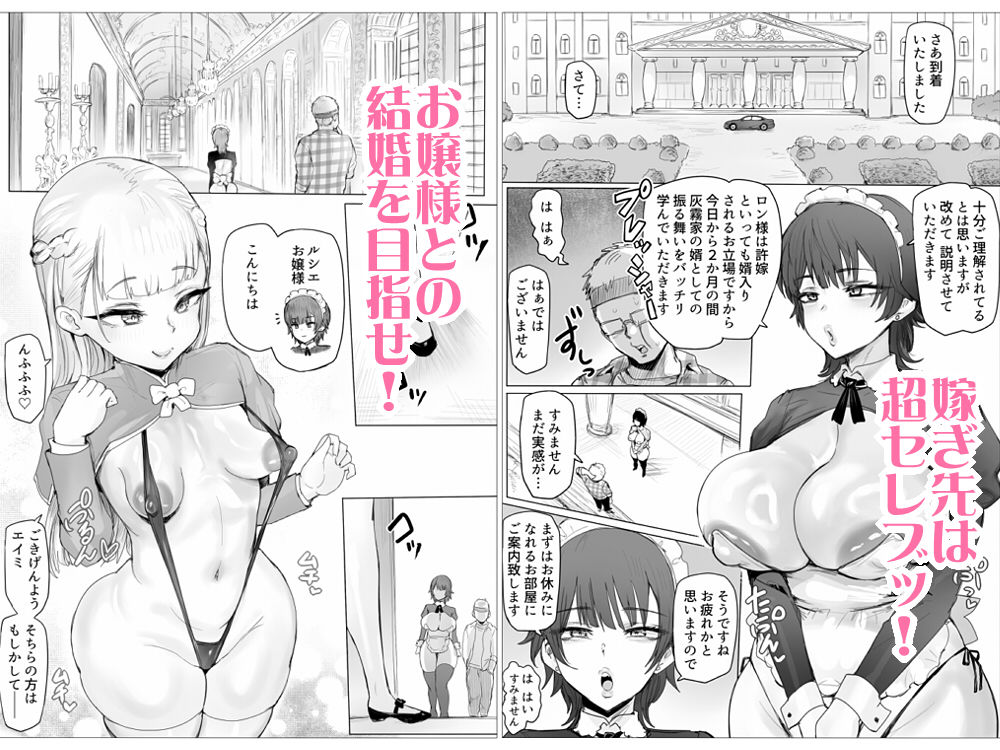 メイドで生ハメ練習したらお嬢様のコキ穴を攻略だ！ サンプル画像2